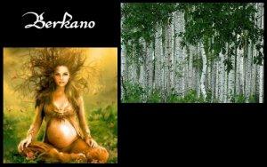 Berkano (ELEMIAH VOYANCE 08 99 96 90 99)