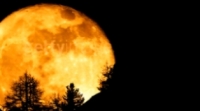 LA LUNE DANS L'ASTROLOGIE
