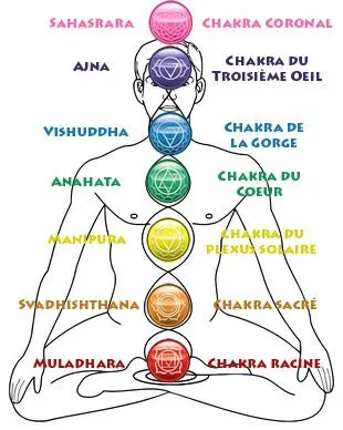 Les 7 Chakras - Voyance sans attente 01.78.41.48.80
